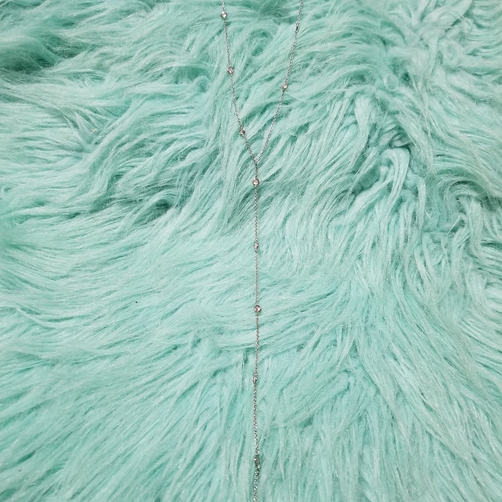NWT Express Necklace